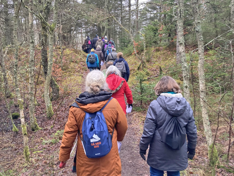 Billede af mennesker på gåtur i Tversted Klitplantage