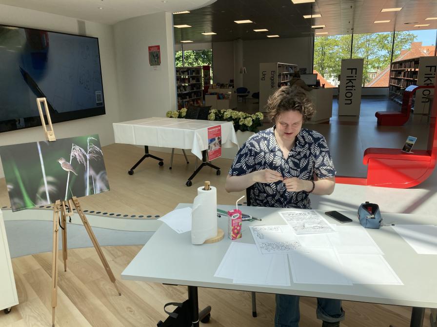 Tegner Jonathan Lillelund